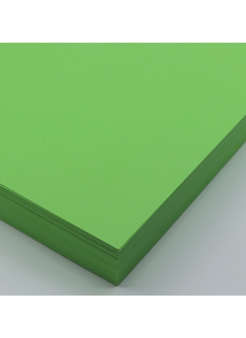 firstnock Green Color Paper 250 Gsm A4 20 Sheets Light Green Cardstock  - Image 3