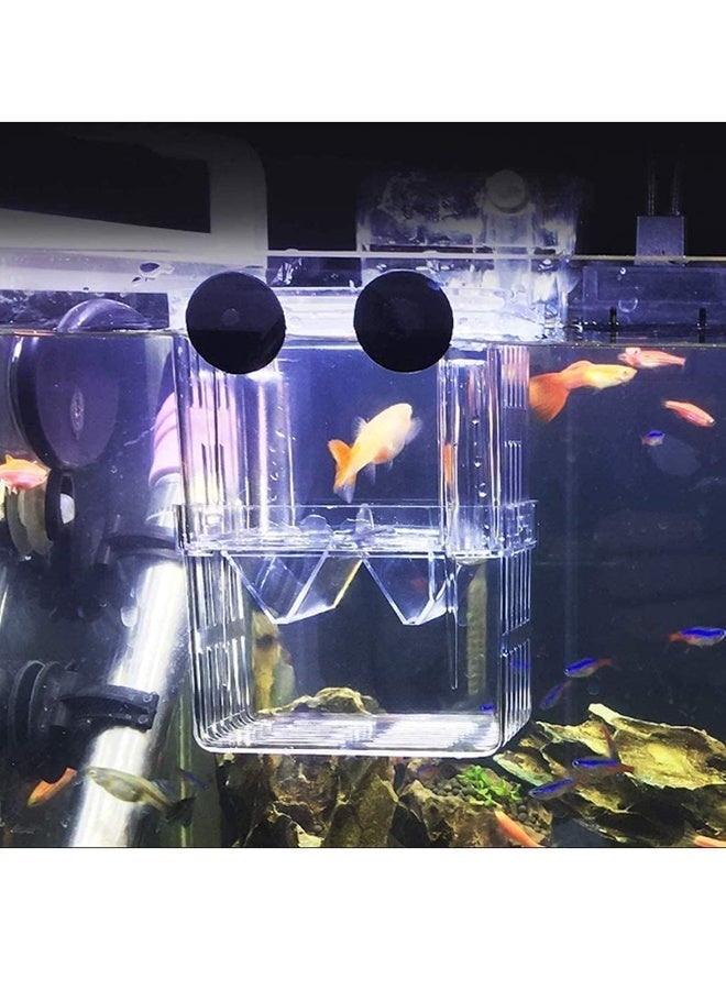 Fish Breeding Box Double Layer Breed Case Fish Isolation Floating Hatchery Transparent Plastic Fish Hatching Box with 2 Suction Cup for Aquarium Home Fry Farming Fish Protection - Image 4