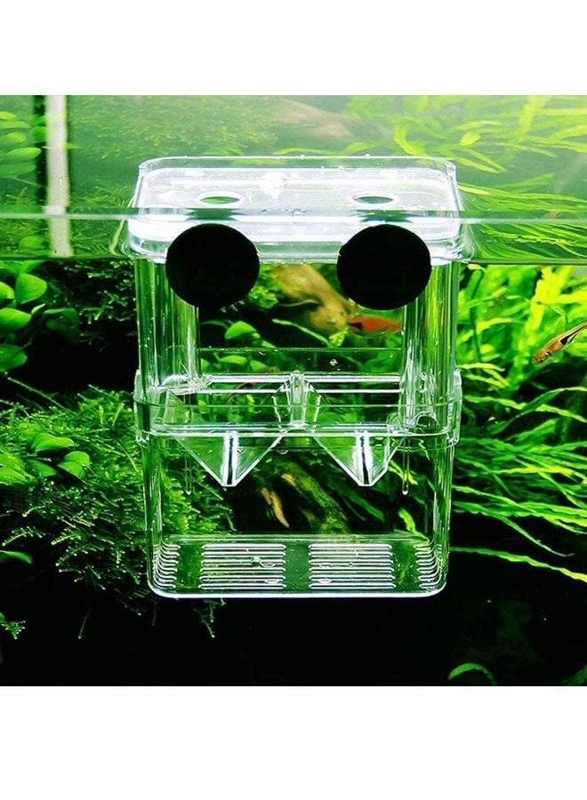 Fish Breeding Box Double Layer Breed Case Fish Isolation Floating Hatchery Transparent Plastic Fish Hatching Box with 2 Suction Cup for Aquarium Home Fry Farming Fish Protection - Image 3