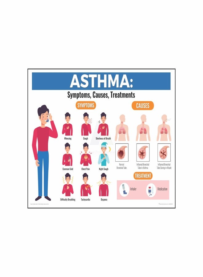 Anne Print Solutions® Asthma symptoms Poster (Without Frame) For Hospital Poster | Clinic Poster Pack Of 1 Pcs Size 13 Inch* X 19 Inch* - Image 1