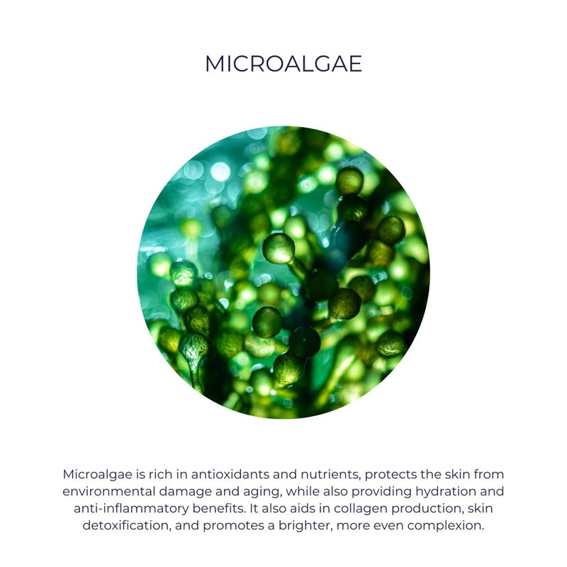 Alana Mitchell Blue Light Protection Face Moisturizer â€“ Face Cream to Shield from Harmful Blue Light Damage â€“ Facial Moisturizer Cream w/Jojoba Oil & Aloe Vera â€“ Facial Skin Care Products (2 oz) - Image 4