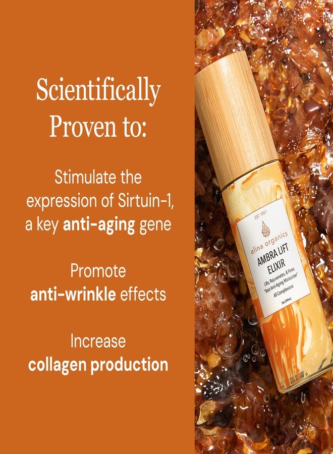 Elina Organics Ambra Lift Elixir, 2oz - Award-Winning Anti-Aging Moisturizer with Baltic Amber, Marine Collagen & Pearl Powder - Lifts, Firms & Hydrates - Organic, Vegan - Image 2