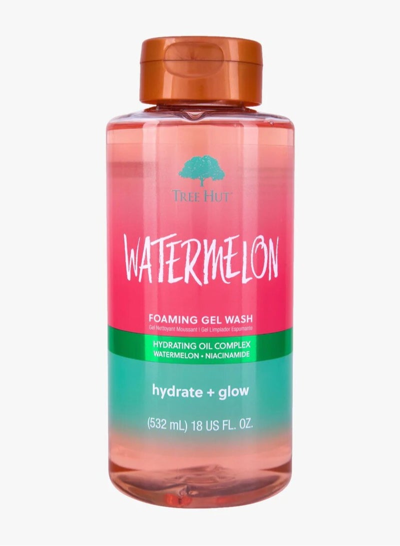 تري هت غسول جل رغوي بالبطيخ532ملي - Image 1