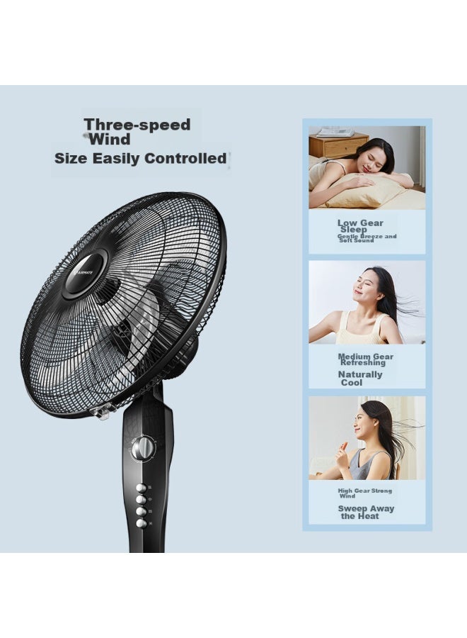 Airmate Five-blade Household Electric Fan, High Airflow, Desktop Or Floor Fan, Quiet Operation, Energy-efficient, Air Circulation, Small Fan With Timer, Dorm Cooling Fan, Fsw65t2-5 - Image 2