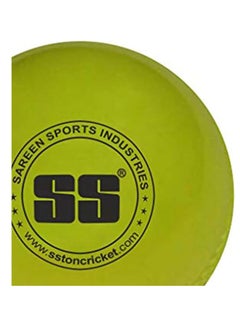 SS Wind Light Cricket Ball  - Image 2