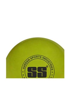 SS Wind Light Cricket Ball  - Image 4