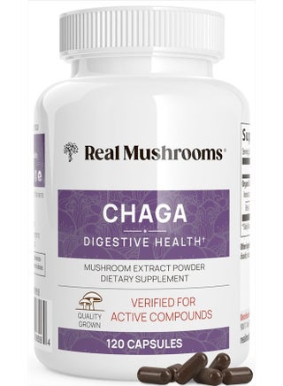 Chaga Digestive Health* Mushroom Extract, 120 Capsules - pzsku/Z379E81CDDC1BACDA4509Z/45/1746687627/92d66c89-e1a9-44cc-a027-6e9f048acb98