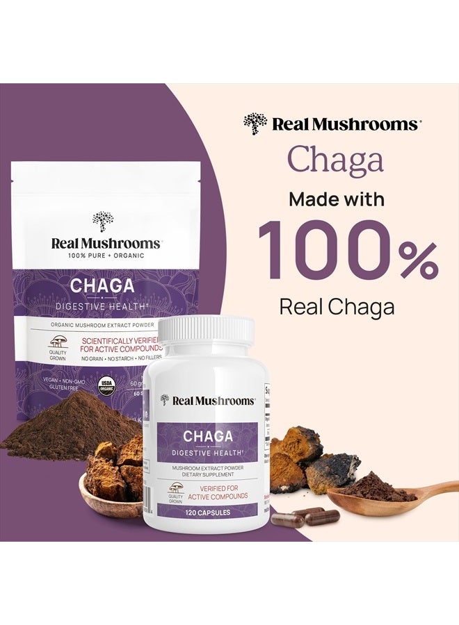Chaga Digestive Health* Mushroom Extract, 120 Capsules