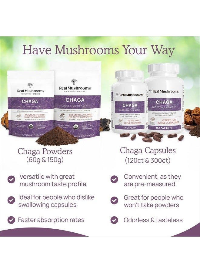 Chaga Digestive Health* Mushroom Extract, 120 Capsules