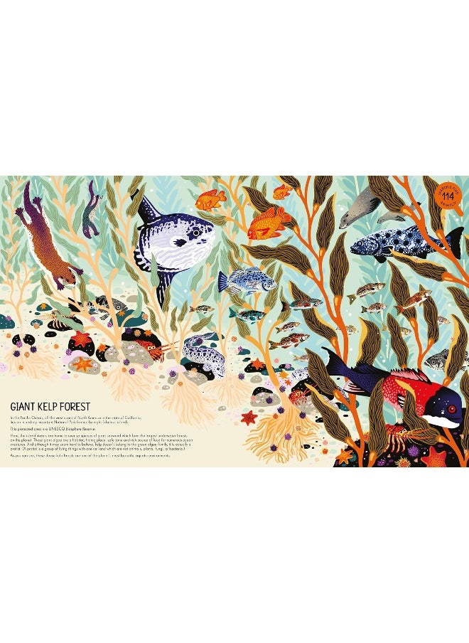 null - Majestic Oceans: Discover the World Beneath the Waves - Image 1