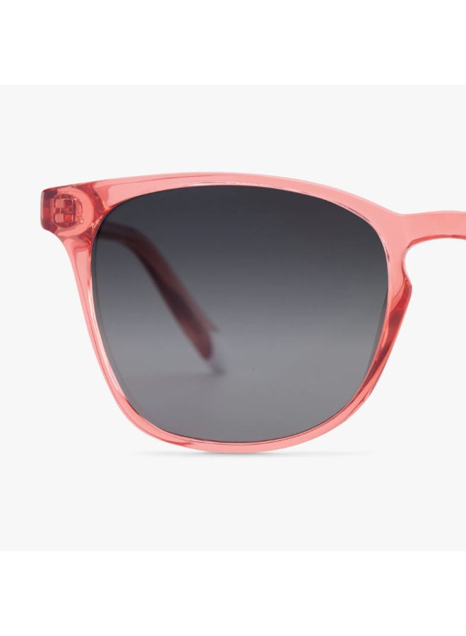 BARNER Full Rim Phantos Sunglasses DKGS-S - Image 3