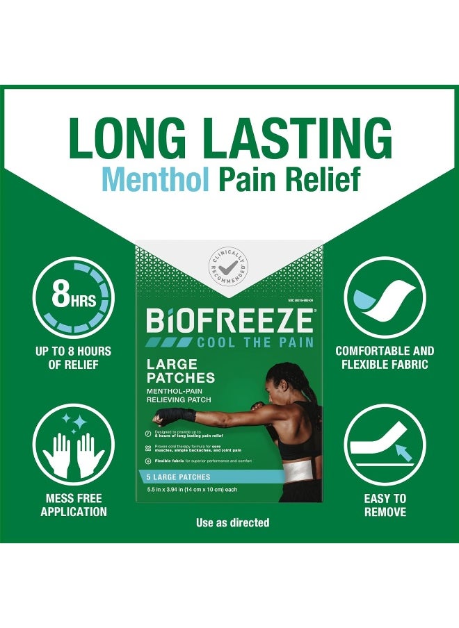 Biofreeze Pain Relief Patch, Large, 15 Patches