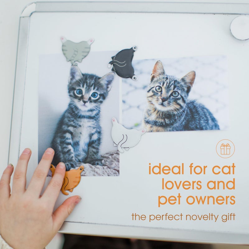 Pearhead Cat Bum Kitchen Magnets, Pet Themed Refrigerator Magnets, Funny Novelty Gift for Cat Lovers and Pet Parents, Ideal Decor for Home, School Locker and Office Whiteboard, Set of 4 - Image 5