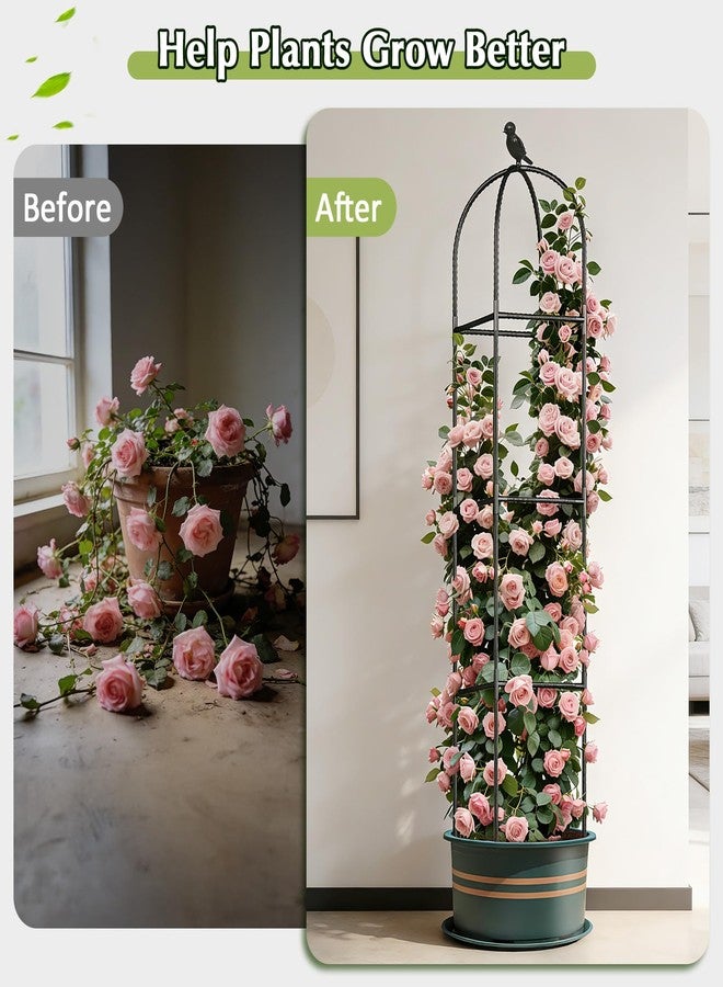 CL FUN Obelisk Garden Trellis for Climbing Plants, 2 Pack 6ft Rustproof Adjustable Heavy Duty Metal Plant Support, Garden Trellis for Indoor Outdoor Potted Climbing Vines, Rose, Flowers, Vegetables - Image 4