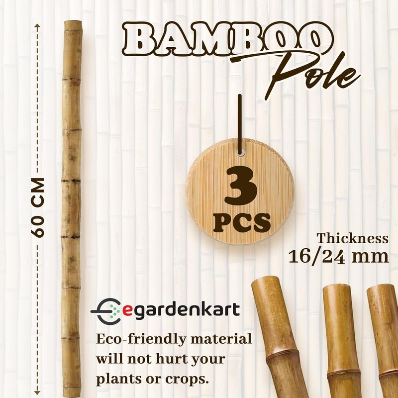 Egardenkart إي غاردن كارت، عصي الخيزران للنباتات - 90 سم، 3 قطع | دعامات نباتية | 24-16 مم، عمود دعم نباتي | عصا نباتية متينة للزهور والخضروات والنباتات المتسلقة | عصي حديقة (3 قطع، 90 سم) - Image 2