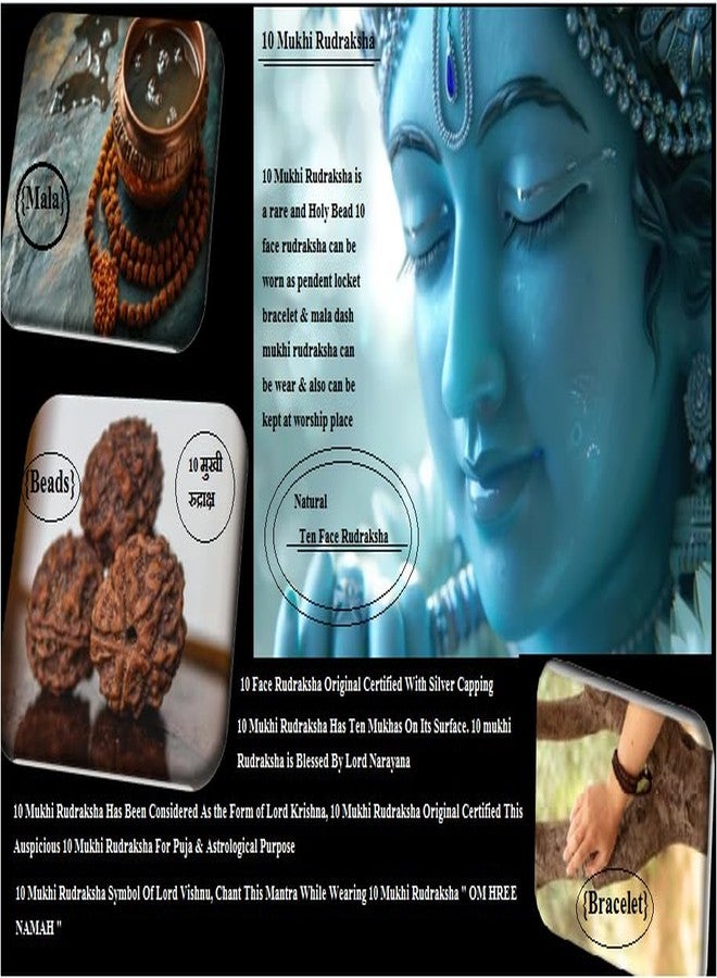 TRINETRA GEMS STONE Natural Brown 10 Mukhi Rudraksha Nepali Beads Real Das Mukhi Rudraksha IGL Lab Certified Attractive दस मुखी रुद्राक्ष For Make Pendant Ten Face Rudraksha For Men - Image 5