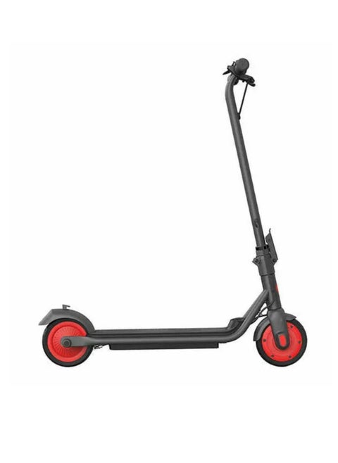Segway Ninebot KickScooter C20