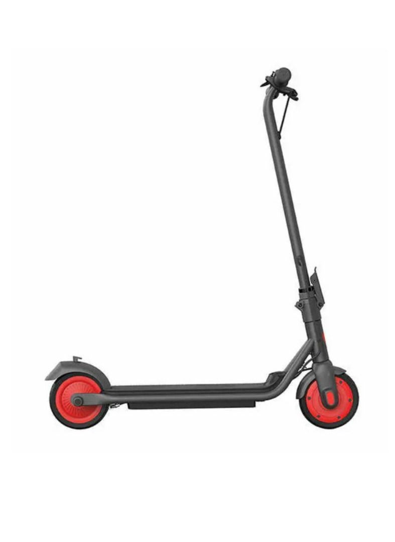 SEGWAY - Segway Ninebot KickScooter C20 - Image 1