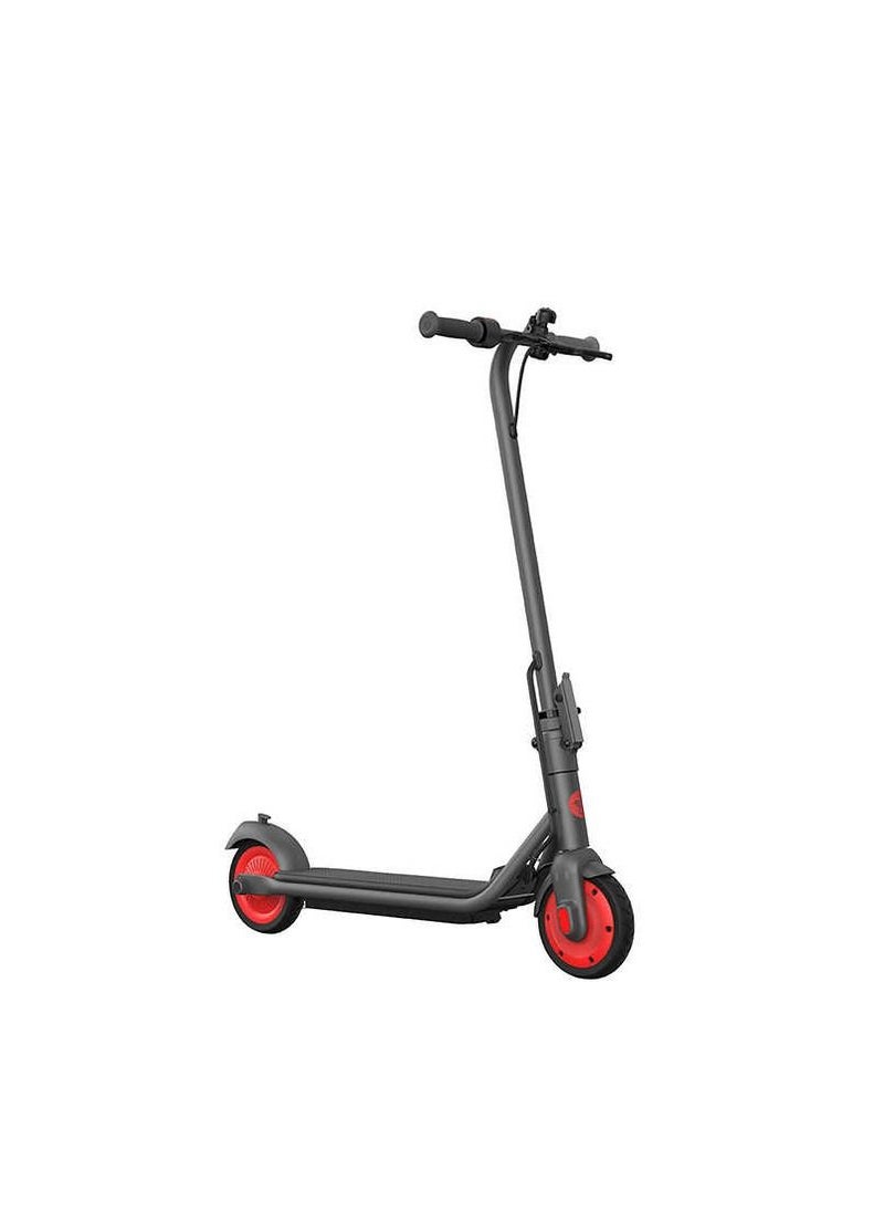 SEGWAY - Segway Ninebot KickScooter C20 - Image 1