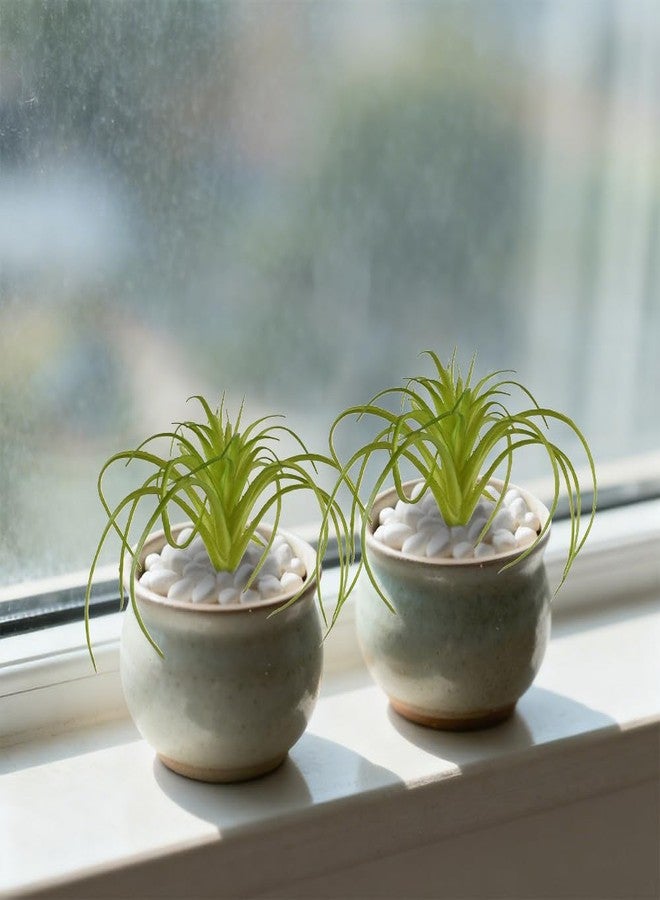 VIOCIWUO Artificial Succulents Plants 4PCS, Faux Succulents Unpotted Small Tillandsia Fake Succulent for Craft Lifelike Air Plants Floral Decor for Greenhouse Party, Garden & Outdoor - Image 4