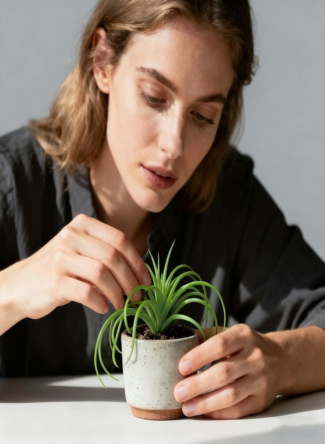 VIOCIWUO Artificial Succulents Plants 4PCS, Faux Succulents Unpotted Small Tillandsia Fake Succulent for Craft Lifelike Air Plants Floral Decor for Greenhouse Party, Garden & Outdoor - Image 5