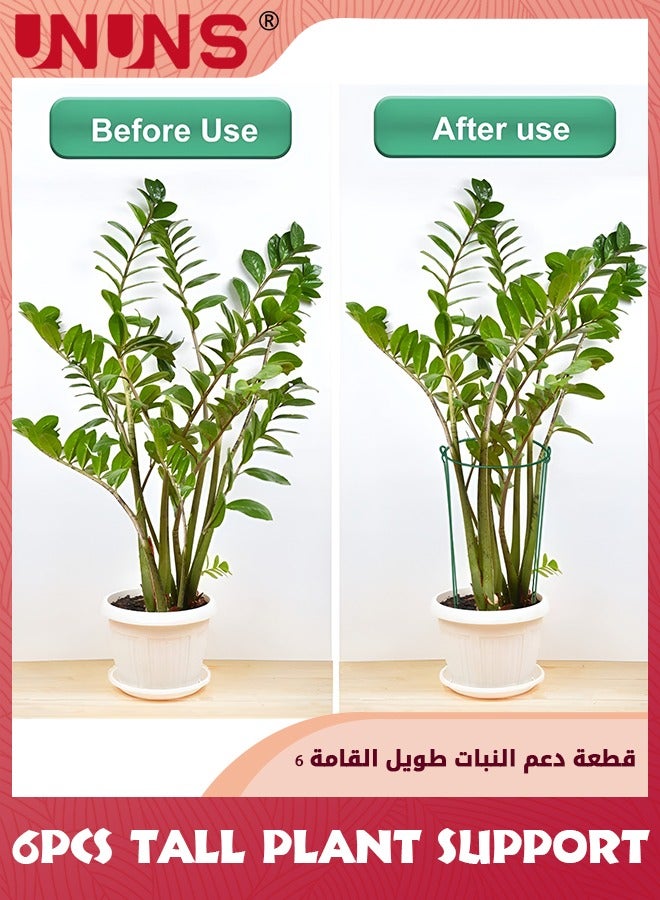 UNUNS أوتاد دعم النباتات الطويلة، أقفاص الفاوانيا نصف دائرية ودعائم للنباتات الداخلية والخارجية، حلقة قفص النباتات لدعم الزهور والفاوانيا والطماطم والهدرانج وشجيرة الورد، عبوة من 6 قطع  - Image 2