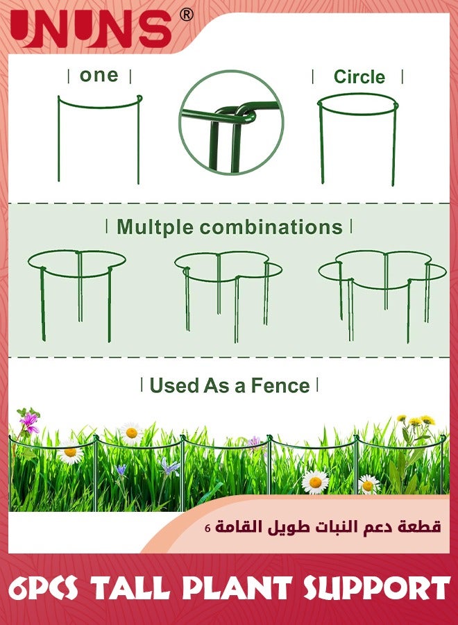UNUNS أوتاد دعم النباتات الطويلة، أقفاص الفاوانيا نصف دائرية ودعائم للنباتات الداخلية والخارجية، حلقة قفص النباتات لدعم الزهور والفاوانيا والطماطم والهدرانج وشجيرة الورد، عبوة من 6 قطع  - Image 5