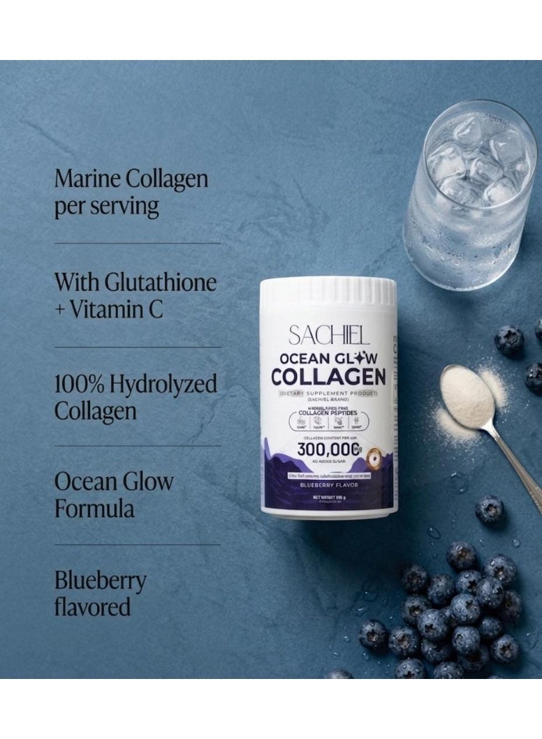 Sachiel Ocean Glow Japanese Marine Collagen 300,000mg | Hydrolyzed Fish Collagen Peptides | Anti-Aging & Skin Elasticity Support | Blueberry Flavor | Halal UAE - Image 2