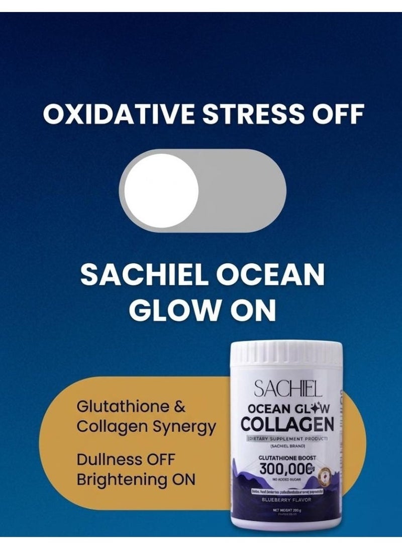 Sachiel Ocean Glow Japanese Marine Collagen 300,000mg | Hydrolyzed Fish Collagen Peptides | Anti-Aging & Skin Elasticity Support | Blueberry Flavor | Halal UAE - Image 3