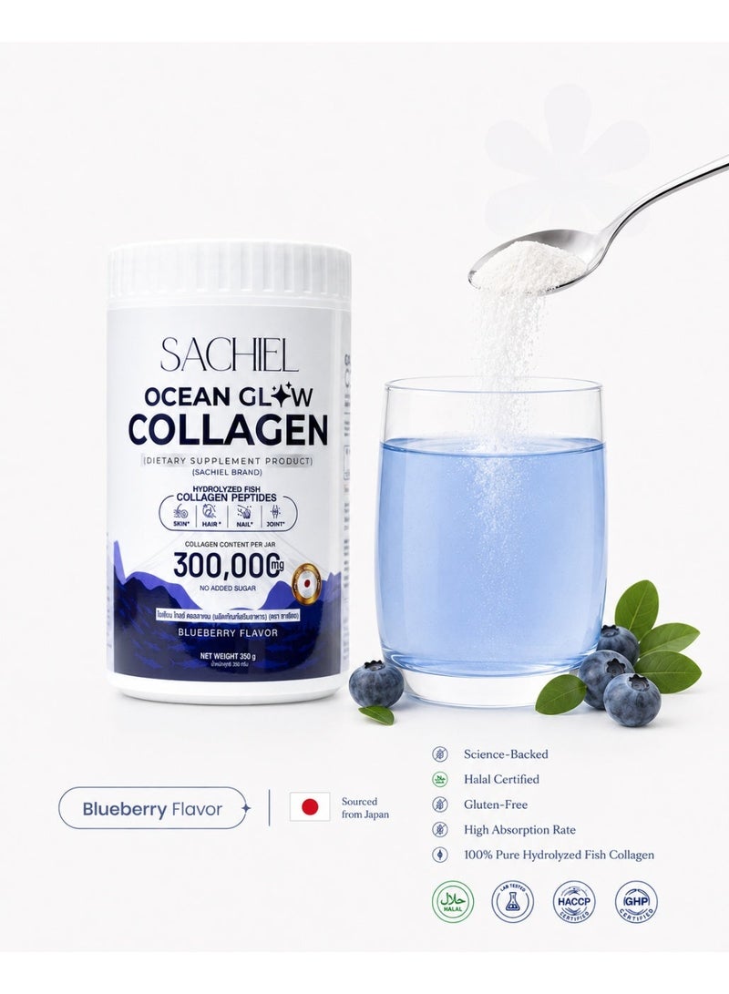 Sachiel Ocean Glow Japanese Marine Collagen 300,000mg | Hydrolyzed Fish Collagen Peptides | Anti-Aging & Skin Elasticity Support | Blueberry Flavor | Halal UAE - Image 2