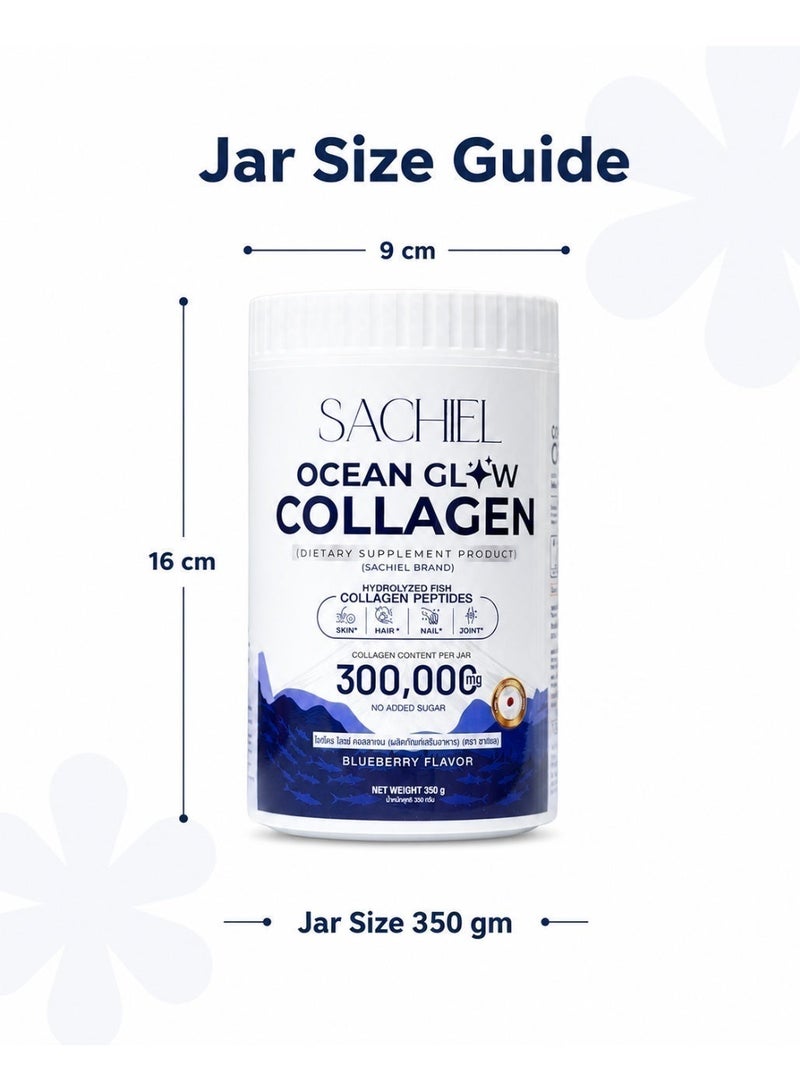 Sachiel Ocean Glow Japanese Marine Collagen 300,000mg | Hydrolyzed Fish Collagen Peptides | Anti-Aging & Skin Elasticity Support | Blueberry Flavor | Halal UAE - Image 5