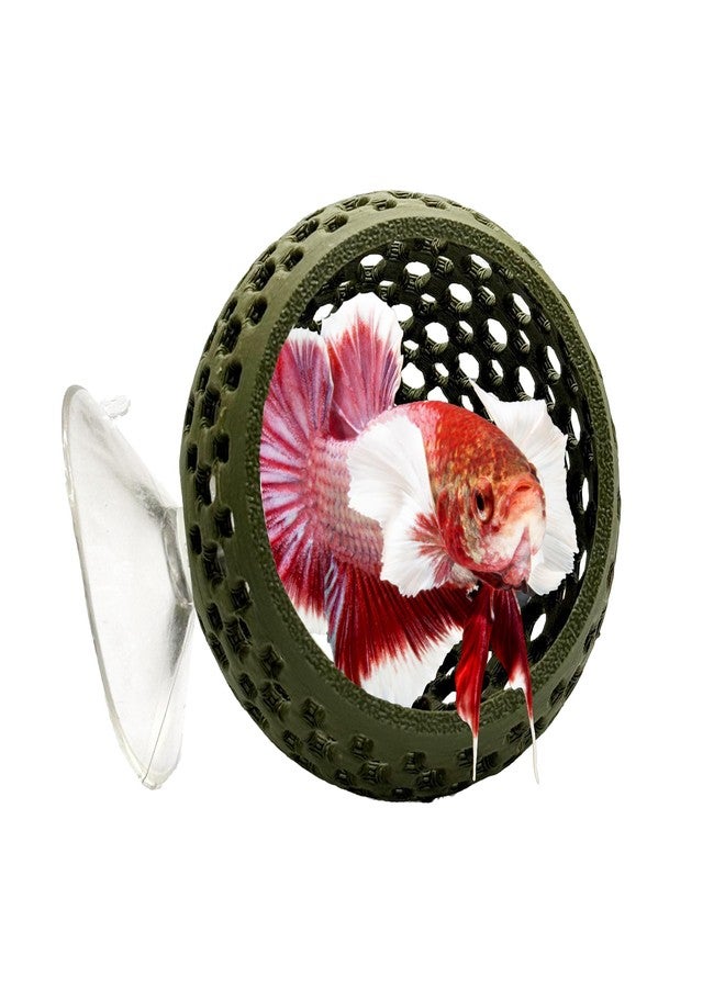 CTWPets Natural Betta Bulb Hide | Betta Rest Fish Tank Ornament | Aquarium Cave with Suction Cup for Small Fish Tank, Betta Habitat, Shrimp Hideout, Aquatic Decor (Forest Green) - Image 1