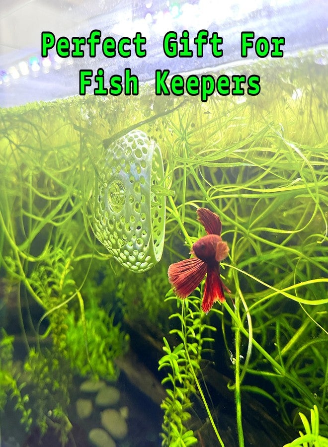 CTWPets Natural Betta Bulb Hide | Betta Rest Fish Tank Ornament | Aquarium Cave with Suction Cup for Small Fish Tank, Betta Habitat, Shrimp Hideout, Aquatic Decor (Forest Green) - Image 5