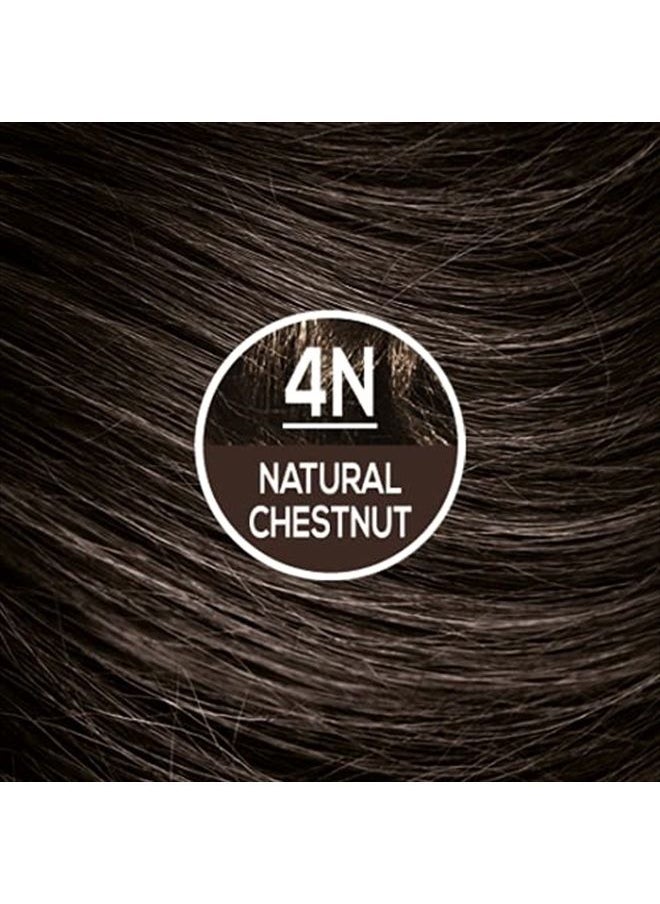 NATURTINT Permanent Hair Color 4N Natural Chestnut (Pack of 6), Ammonia Free, Vegan, Cruelty Free, up to 100% Gray Coverage, Long Lasting Results  - Image 5
