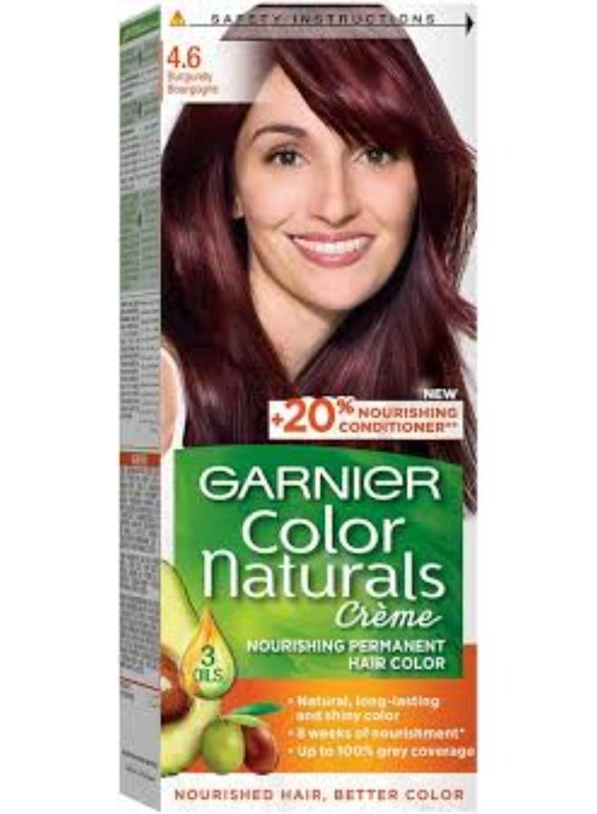 غارنييه GARNIER COLOR NATURALS CREAM 4.6