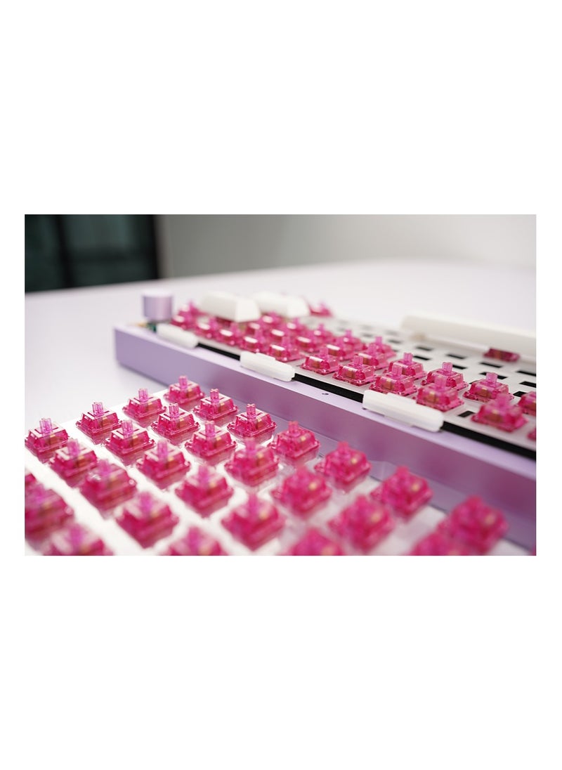 AKKO - Akko Keyboard Switches, CS Crystal Wine Red Switches Plate Mounted Compatible for Mechanical Keyboard, 3 Pin 45gf Key Switches (45pcs) - Image 1
