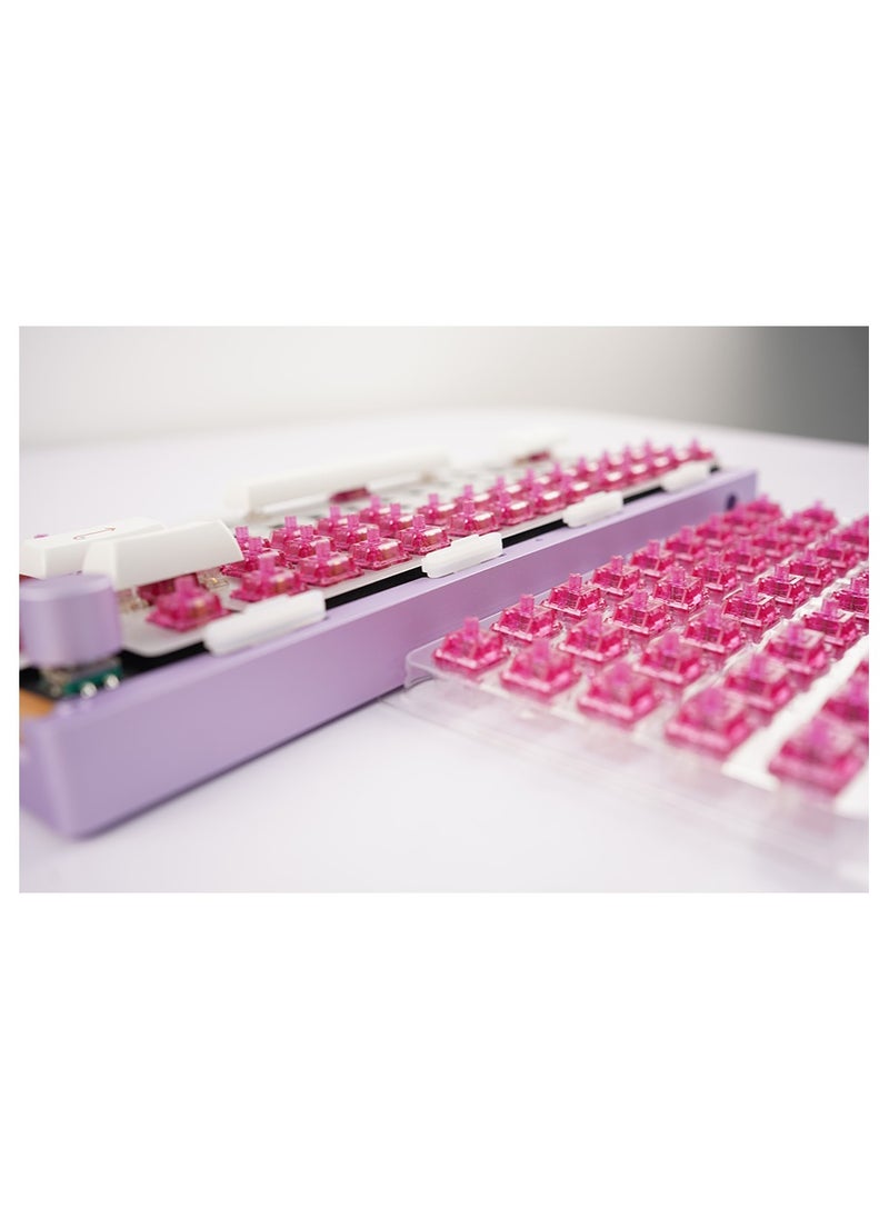 AKKO - Akko Keyboard Switches, CS Crystal Wine Red Switches Plate Mounted Compatible for Mechanical Keyboard, 3 Pin 45gf Key Switches (45pcs) - Image 1