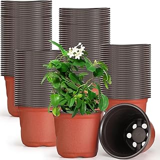 Gandeer Gandeer 200 Pcs 6 Inch Plastic Plants Nursery Pot Seed Starting Pots Planting Pots Planter Seedling Pots Seedling  - Image 1
