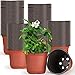 Gandeer Gandeer 200 Pcs 6 Inch Plastic Plants Nursery Pot Seed Starting Pots Planting Pots Planter Seedling Pots Seedling  - Image 2