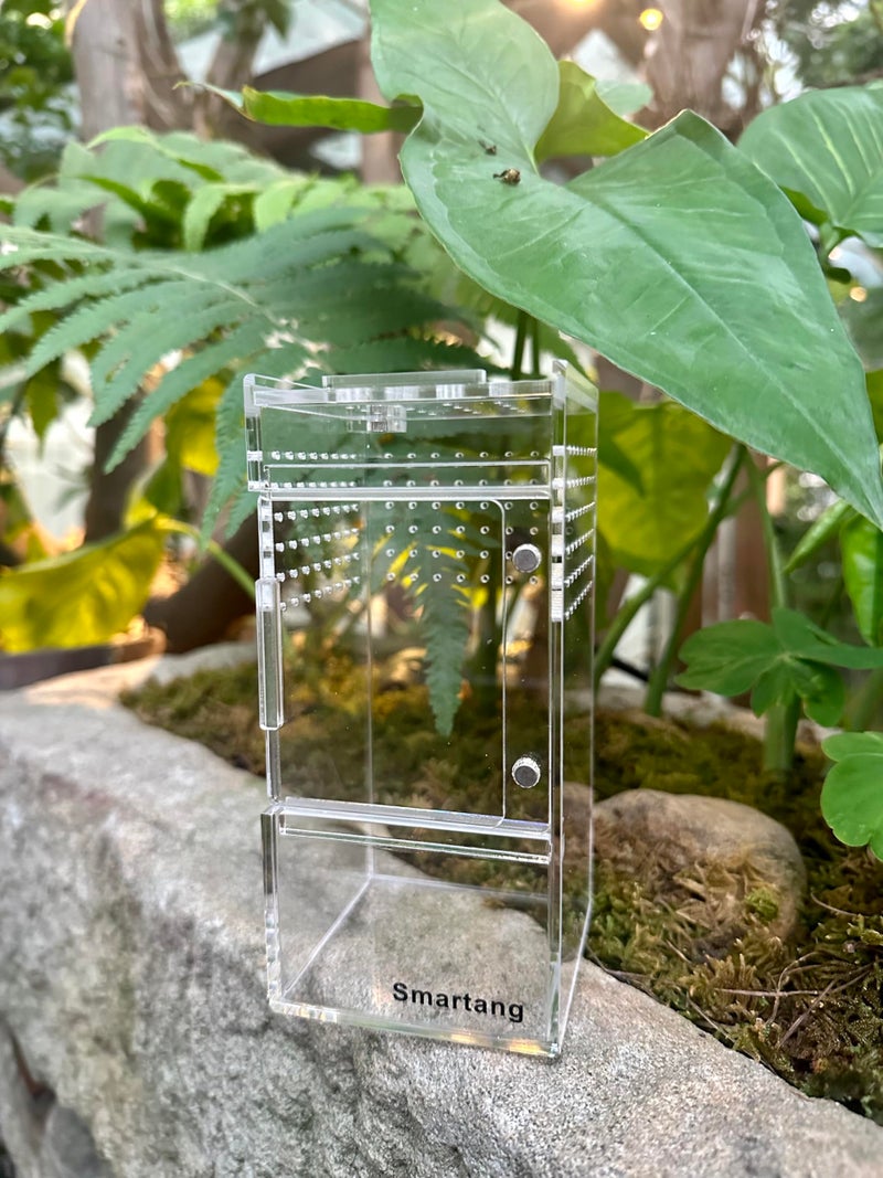 smartang ã€Pre-Assembledã€‘ Jumping Spider Enclosure(3"Ã—3"Ã—6") Front Above Opening Praying Mantis Habitat, Jumping Spider Habitat, Arboreal Tarantula Enclosure, Insect Terrarium,Acrylic Terrarium - Image 3