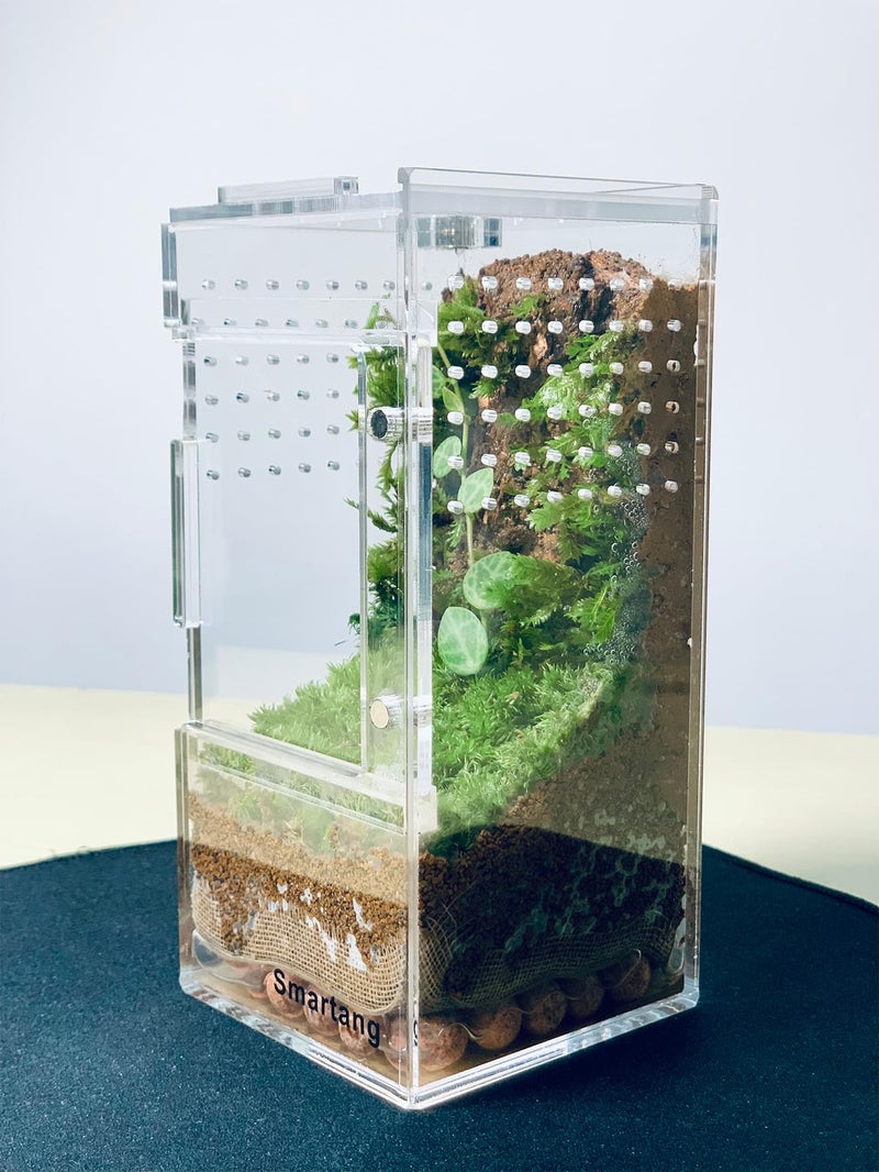 smartang ã€Pre-Assembledã€‘ Jumping Spider Enclosure(3"Ã—3"Ã—6") Front Above Opening Praying Mantis Habitat, Jumping Spider Habitat, Arboreal Tarantula Enclosure, Insect Terrarium,Acrylic Terrarium - Image 5