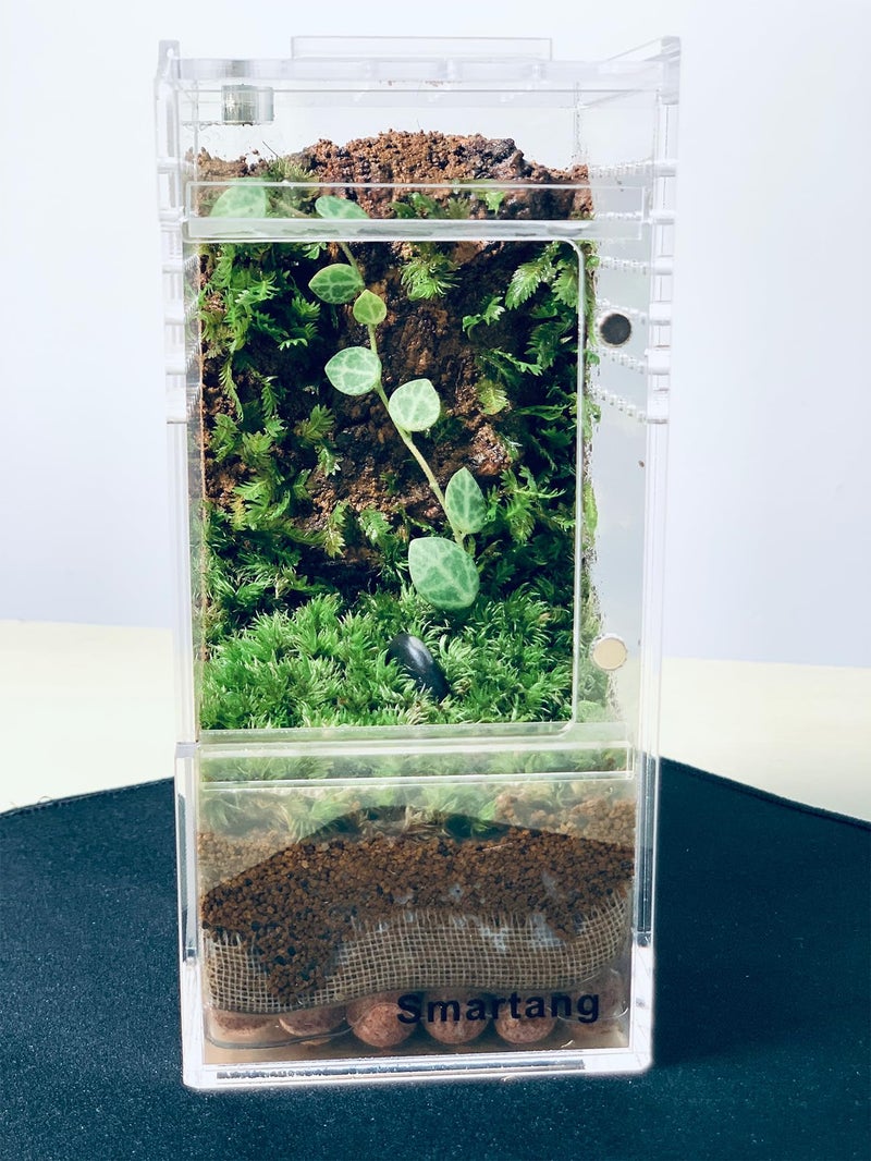 smartang ã€Pre-Assembledã€‘ Jumping Spider Enclosure(3"Ã—3"Ã—6") Front Above Opening Praying Mantis Habitat, Jumping Spider Habitat, Arboreal Tarantula Enclosure, Insect Terrarium,Acrylic Terrarium - Image 4