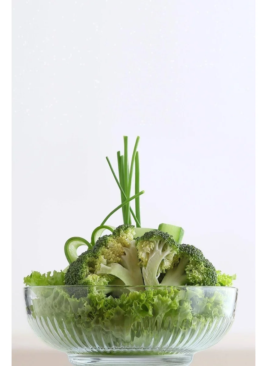 LAV Tokyo Single Large Bowl with Lid