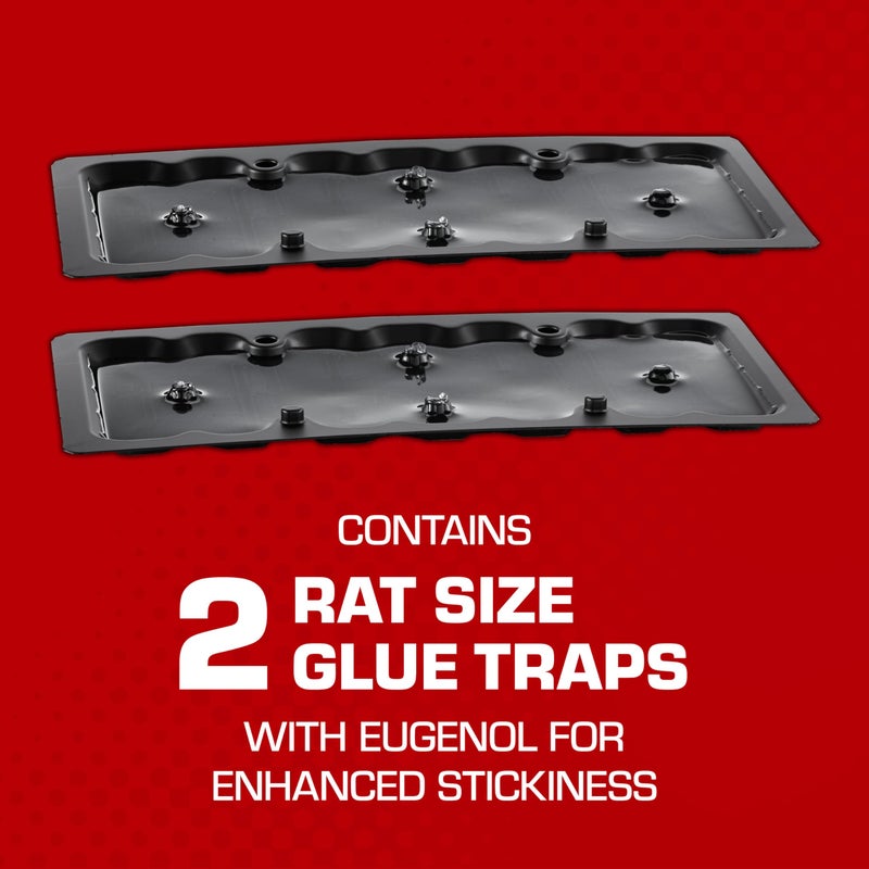 Tomcat Glue Traps Rat Size with Eugenol for Enhanced Stickiness, 2 Traps/Pack (12-Pack) - Image 2