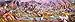 Buffalo Games Africa 750 Piece Panoramic Jigsaw Puzzle Scenic Landscape Artwork for Adults Families - Image 4