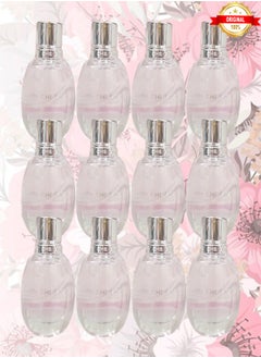 بيلا 12 قطع عطر تشي بيلا 100 مل  - Image 1