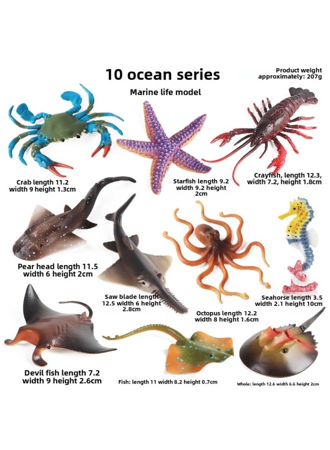 Children's Simulation Marine Seabed Animal Toy Model Jellyfish Jellyfish Jellyfish Octopus Conch Coral Cognitive Ornaments
