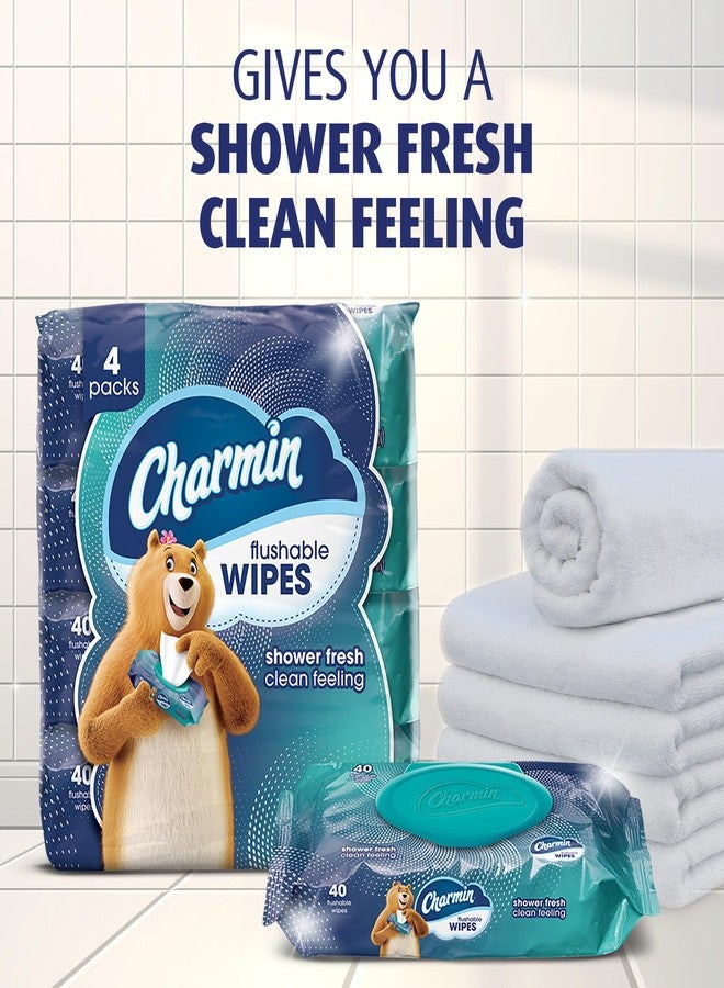 Charmin Flushable Wipes, 160 Total Wipes (4 Packs of 40) - Image 3
