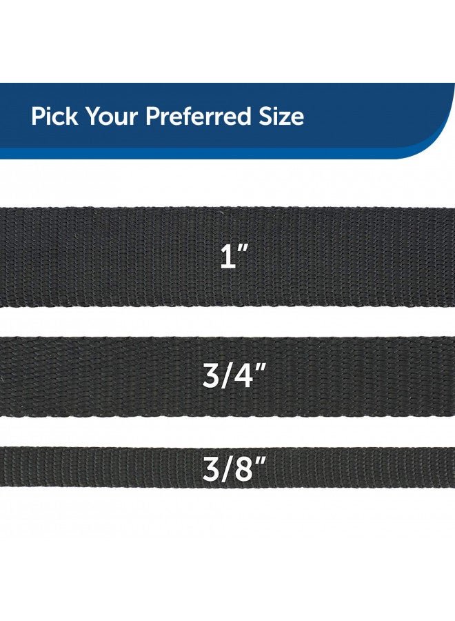 PetSafe Nylon Dog Leash - Strong, Durable, Traditional Style Leash with Easy to Use Bolt Snap - 1 in. x 6 ft., Black