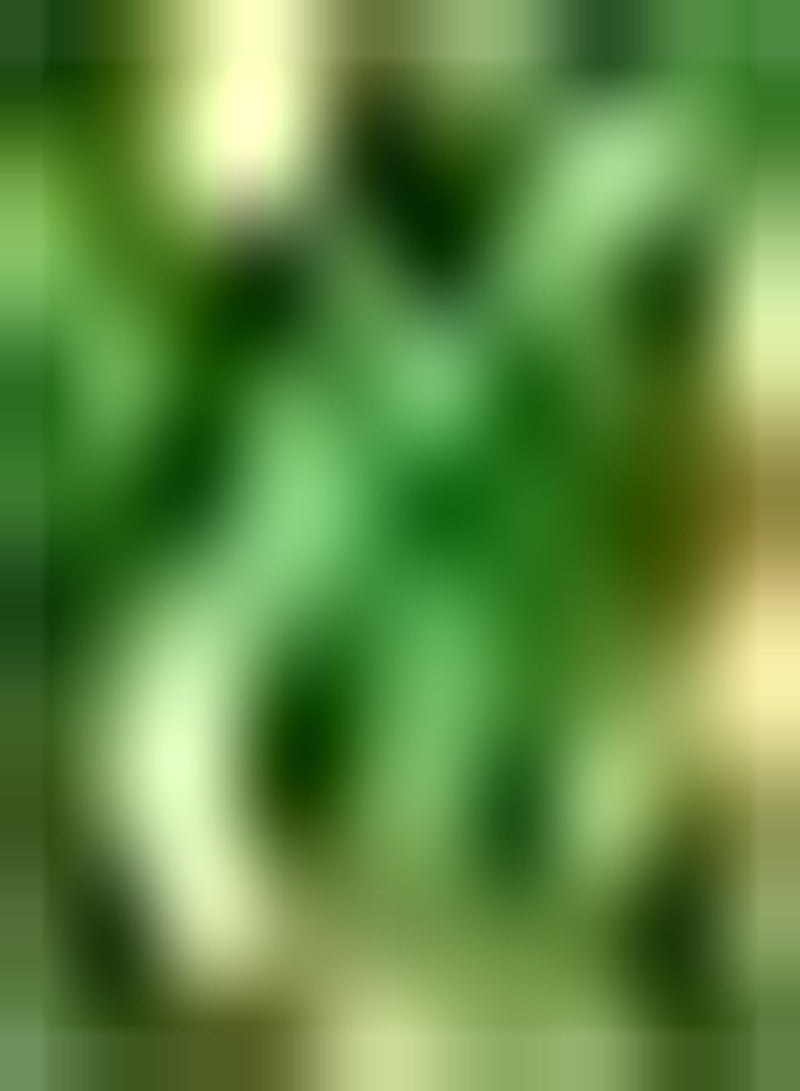 جي جوت 30 قطعة من نباتات الحدائق والأحجار الكريمة في الهواء الطلق من Erbstücken تمثل مجموعة كبيرة من حدائق ومجموعات حدائق لجلبها - Image 4